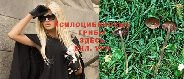 дмт Аркадак