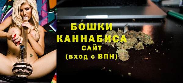 гидра Армянск