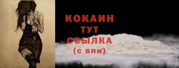прущий лед Арсеньев
