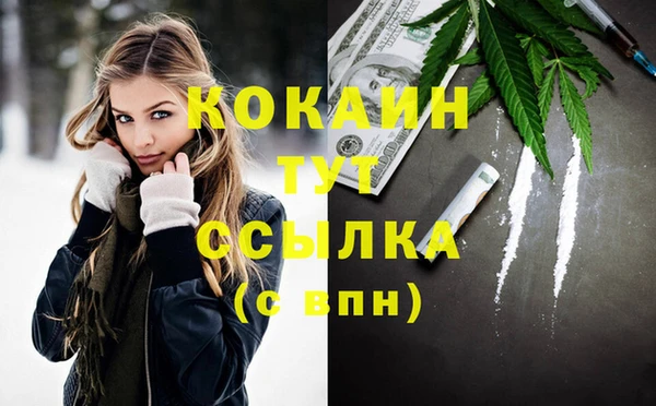 дмт Аркадак