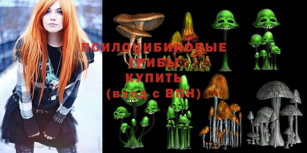 дмт Аркадак