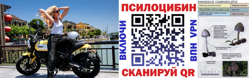 Галлюциногенные грибы ЛСД  купить наркоту  Рошаль 