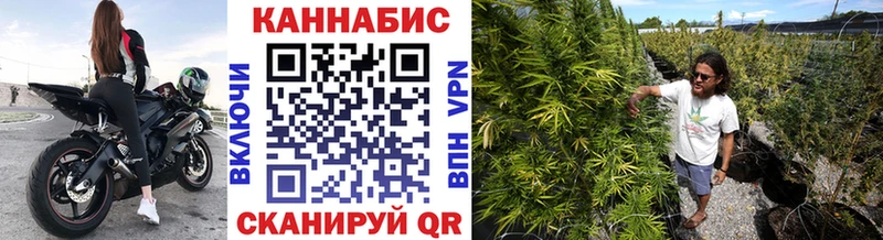 Конопля OG Kush Рошаль